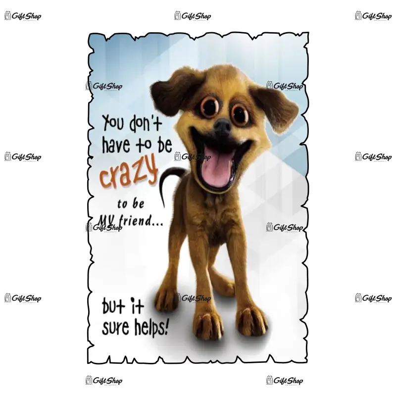 You don`t have to be crazy, magnet frigider mgs073